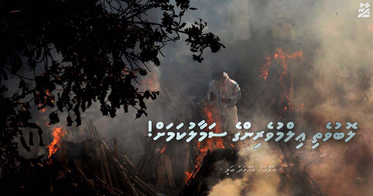 ލޮބުވެތި ޢިލްމުވެރިންގެ ސަމާލުކަމަށް!