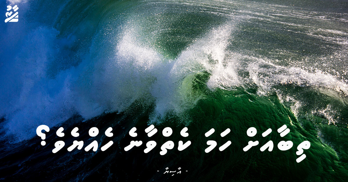 ތިބާއަށް ހަމަ ކެތްވާނެ ހެއްޔެވެ؟