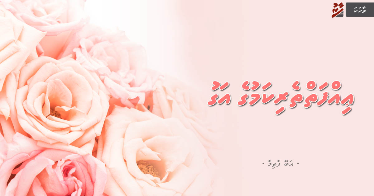 ޢިއްފަތްތެރިކަމުގެ އަގު