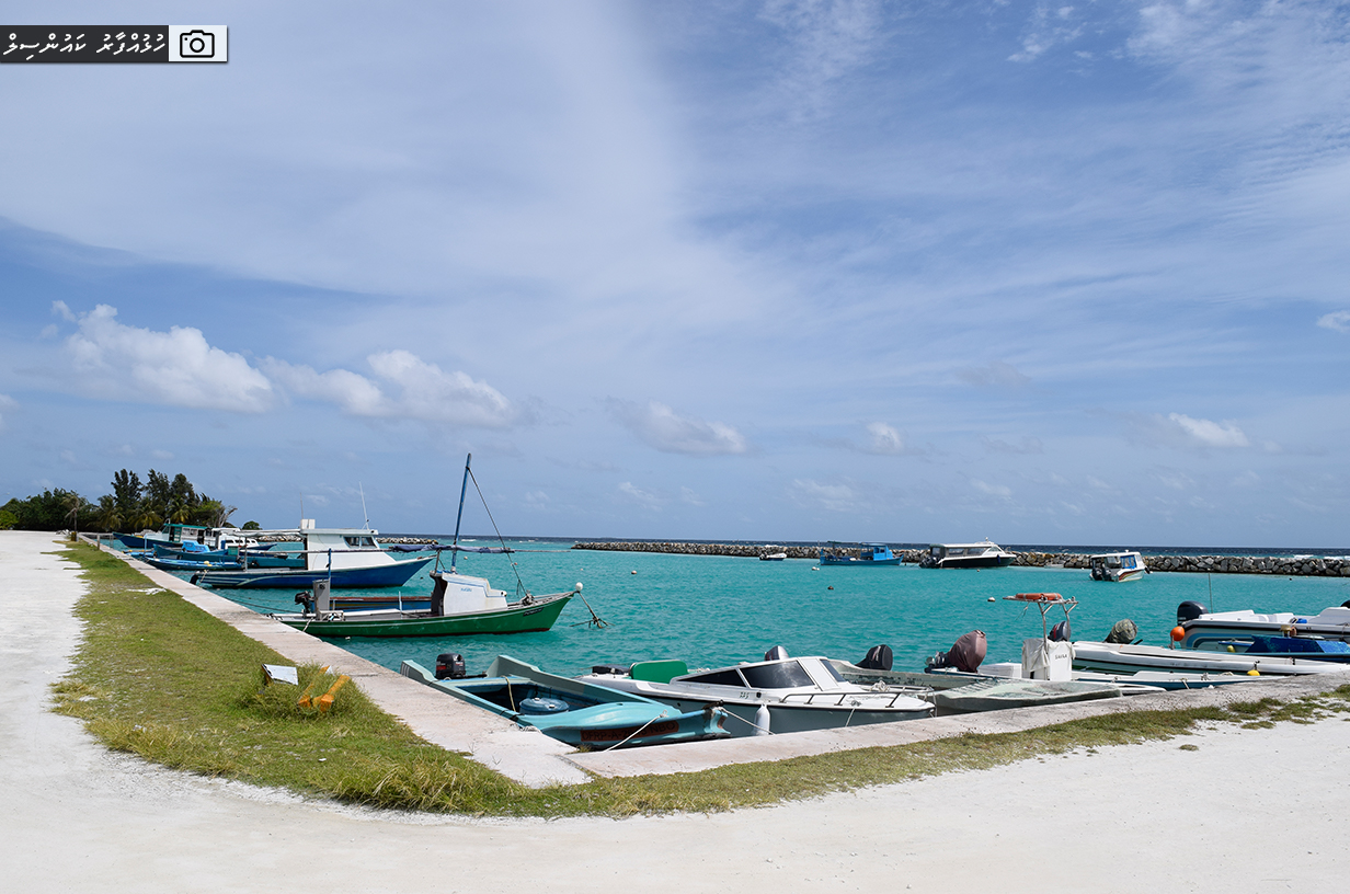 ހުޅުދުއްފާރަށް މަސްތުވާތަކެއްޗާއެކު އައިސްއުޅުނު 4 މީހުން ހައްޔަރު ކޮށްފި