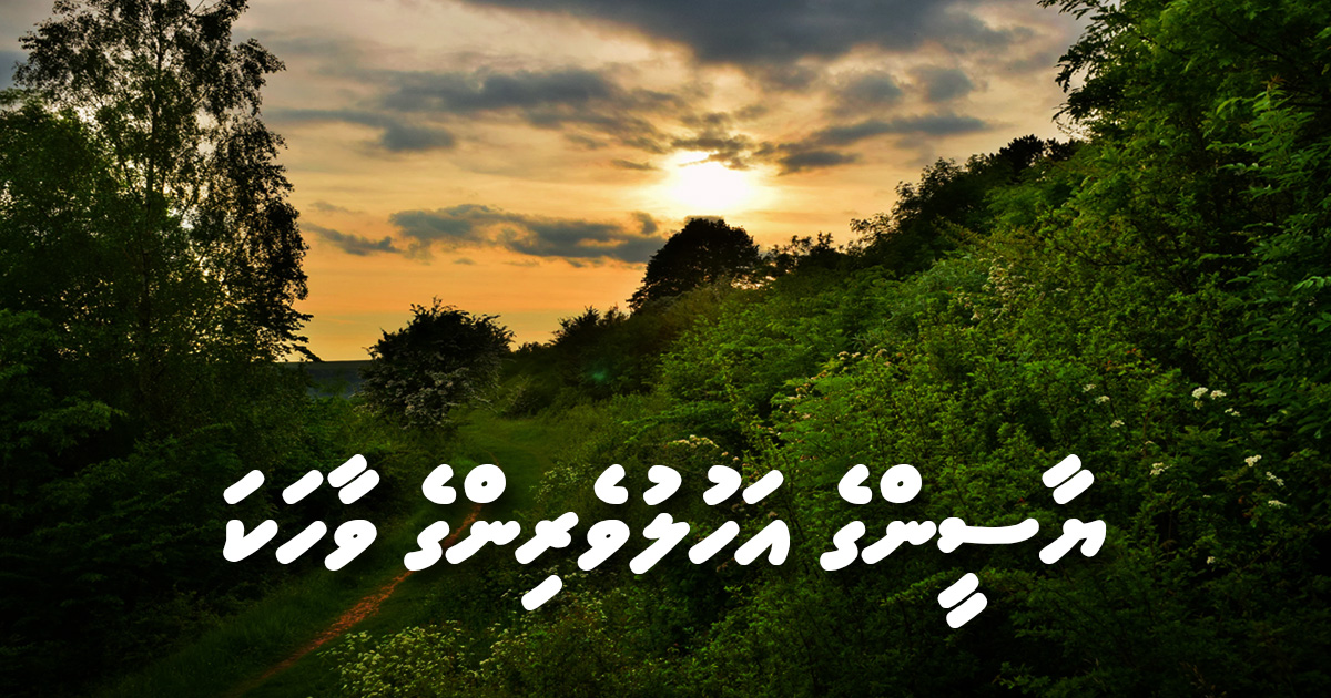 ޔާސީންގެ އަހުލުވެރިންގެ ވާހަކަ
