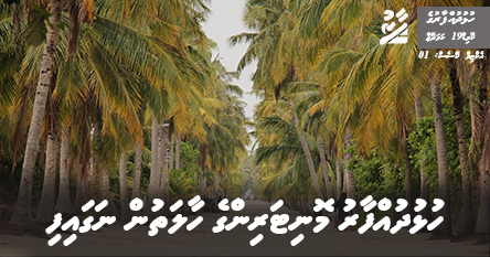ހުޅުުދުއްފާރު މޮނިޓަރިންގެ ހާލަތުން ނަގައިފި